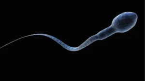 যে কারণে হারাচ্ছেন শুক্রাণু